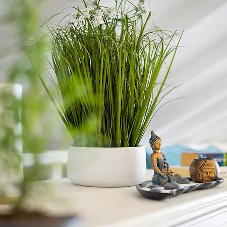 Ocean Garden, 4 Units By The Ocean Apartament