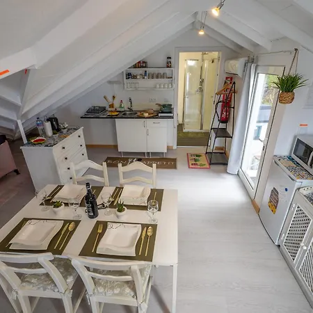 Apartament Ocean Garden, 4 Units By The Ocean