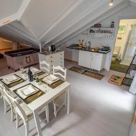 Ocean Garden, 4 Units By The Ocean