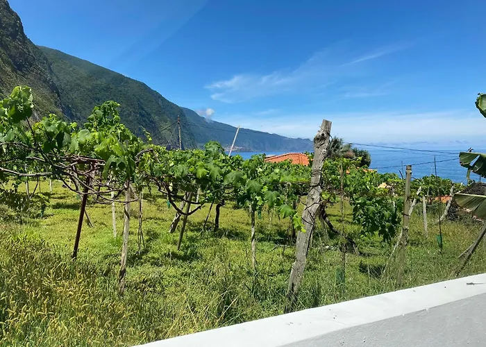 Ocean Garden, 4 Units By The Ocean Appartement