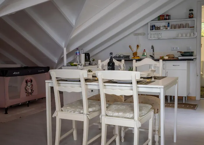 Ocean Garden, 4 Units By The Ocean