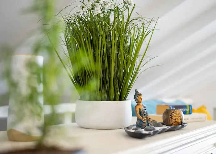 Ocean Garden, 4 Units By The Ocean Appartement