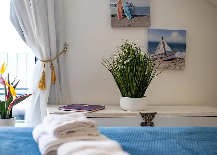 Ocean Garden, 4 Units By The Ocean * São Vicente