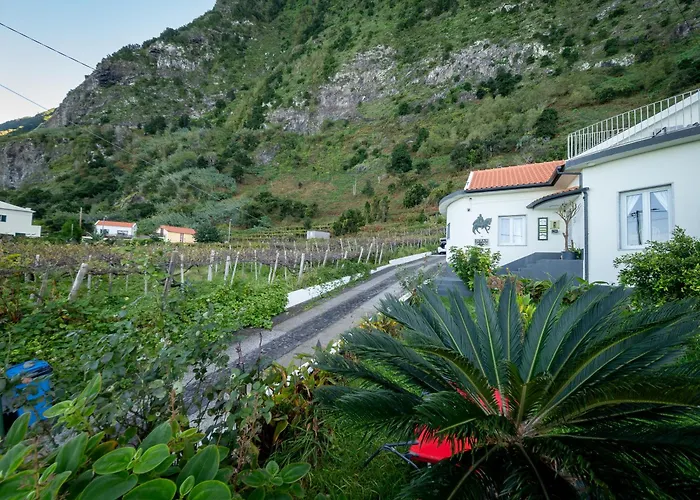 Ocean Garden, 4 Units By The Ocean São Vicente