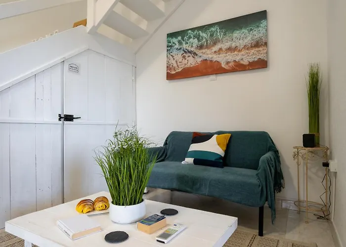 Ocean Garden, 4 Units By The Ocean