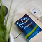 Ocean Garden, 4 Units By The Ocean *