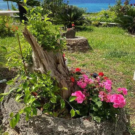 Ocean Garden, 4 Units By The Ocean Apartamento São Vicente