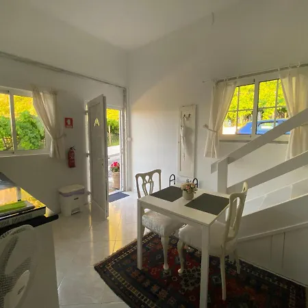 Ocean Garden, 4 Units By The Ocean Apartamento