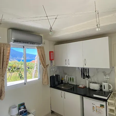 Ocean Garden, 4 Units By The Ocean