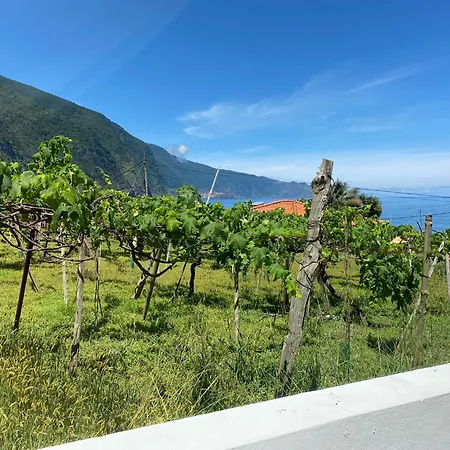 Ocean Garden, 4 Units By The Ocean شقة