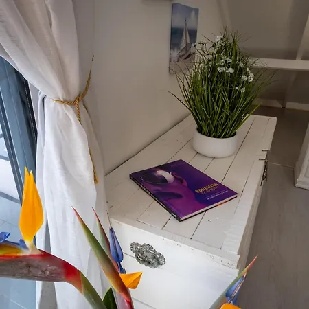 Ocean Garden, 4 Units By The Ocean Apartment Sao Vicente (Madeira)