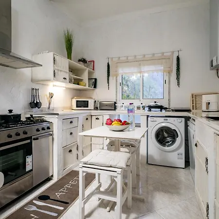 Ocean Garden, 4 Units By The Ocean Apartment São Vicente