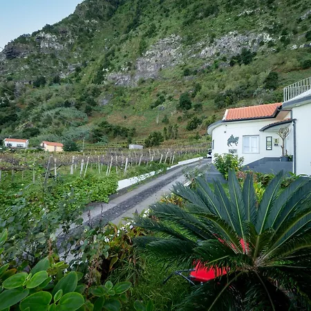 Ocean Garden, 4 Units By The Ocean São Vicente