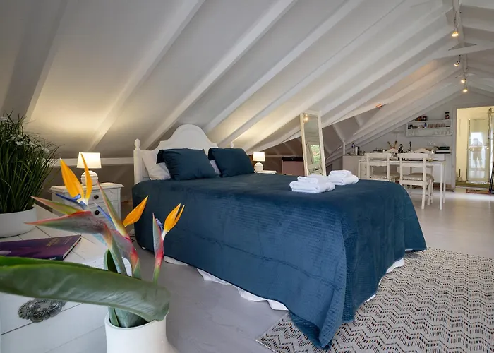 Apartment Ocean Garden, 4 Units By The Ocean *