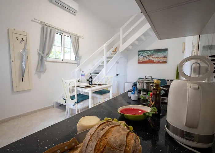 Ocean Garden, 4 Units By The Ocean Apartment