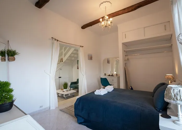 Ocean Garden, 4 Units By The Ocean São Vicente